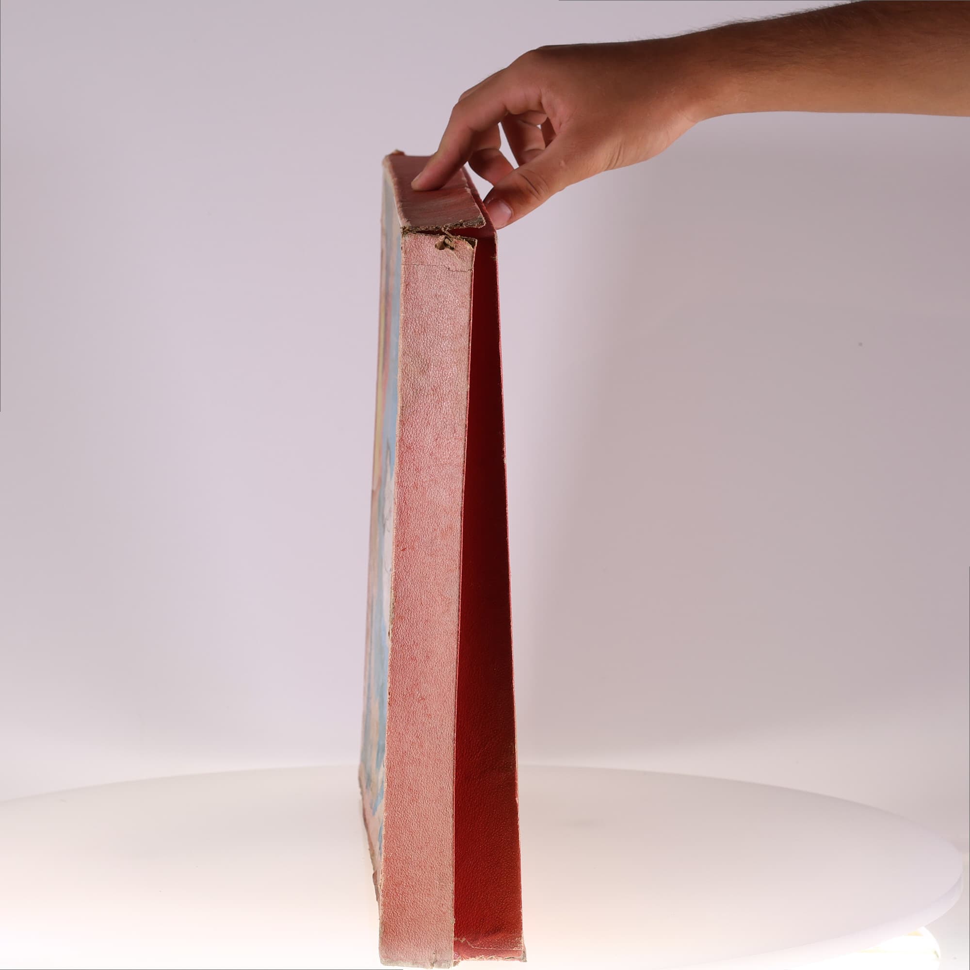 Mapajo Electro Tutor 36 x 49 cm Grade B avec boîte — miniature 12