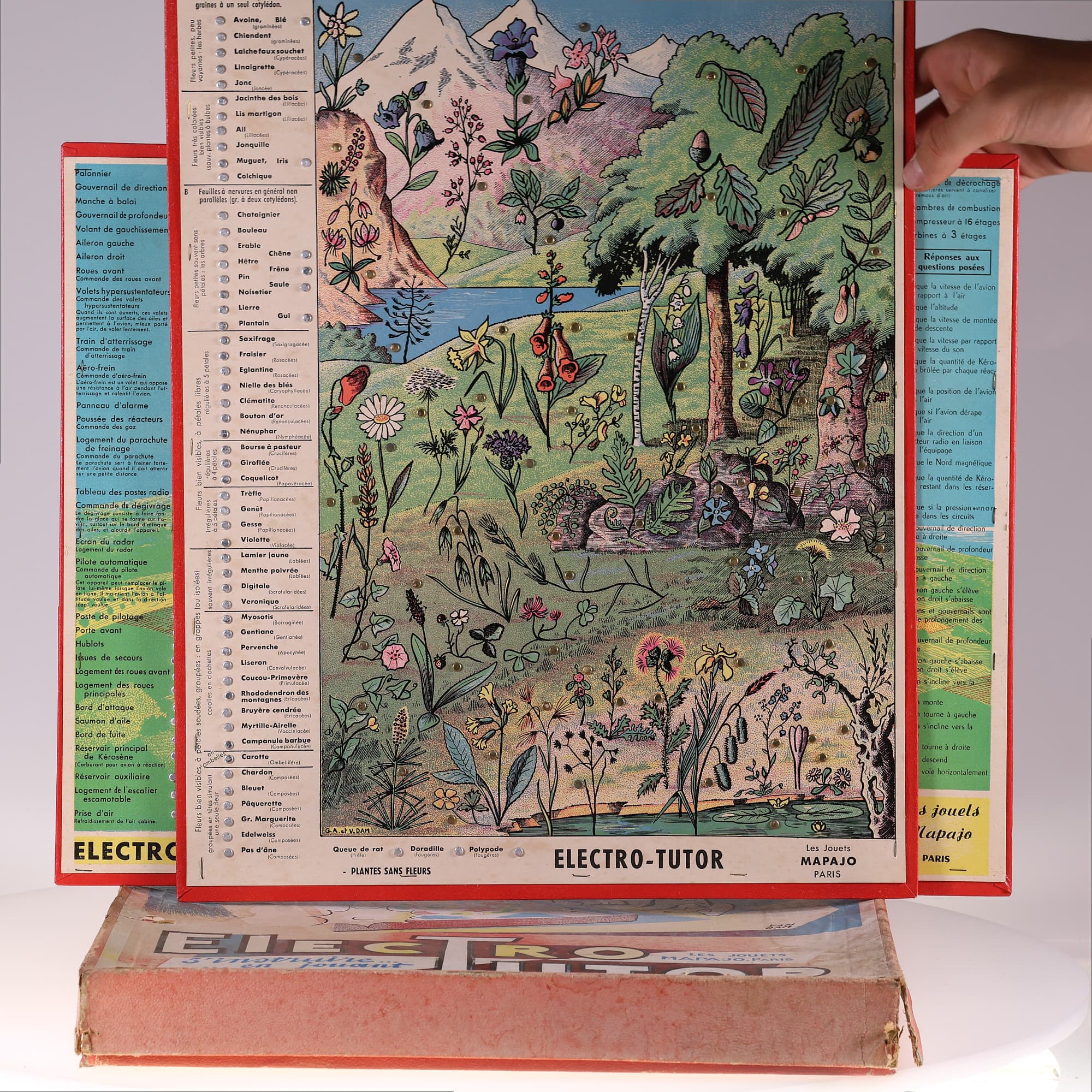 Mapajo Electro Tutor 36 x 49 cm Grade B avec boîte — miniature 9