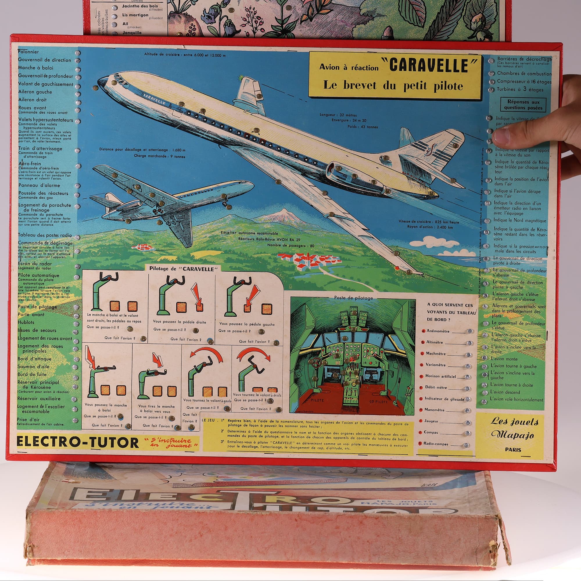 Mapajo Electro Tutor 36 x 49 cm Grade B avec boîte — miniature 10
